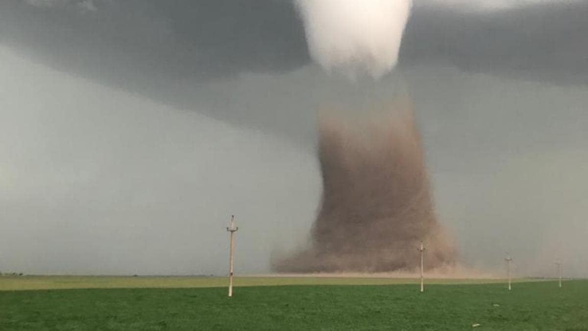 Tornado în Călărași