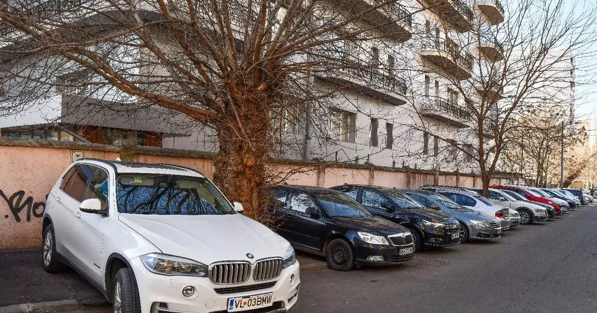 Ghid sesizări — cum obții rezultate